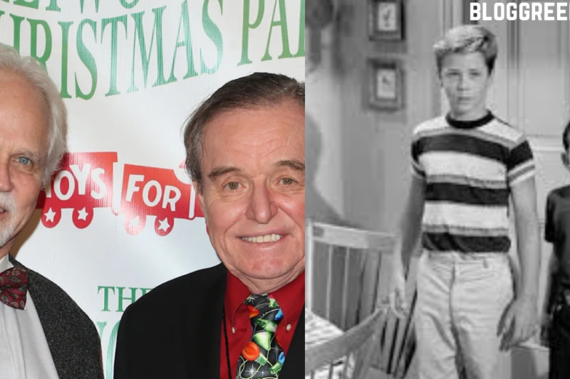 Tony Dow Children Family Life, Legacy, and Personal Story of the Leave It to Beaver Star